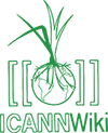 ICANNWiki-Logo-Green.png