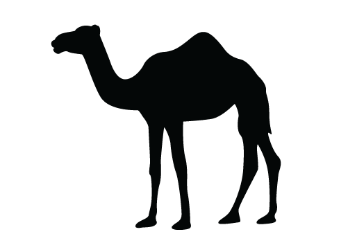 CamelVector.png