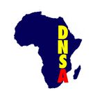 Dnsafrica logo akinbo.jpg