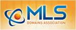 MLS Domains Association.JPG