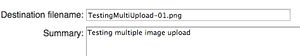 TestingMultiUpload-02.jpg